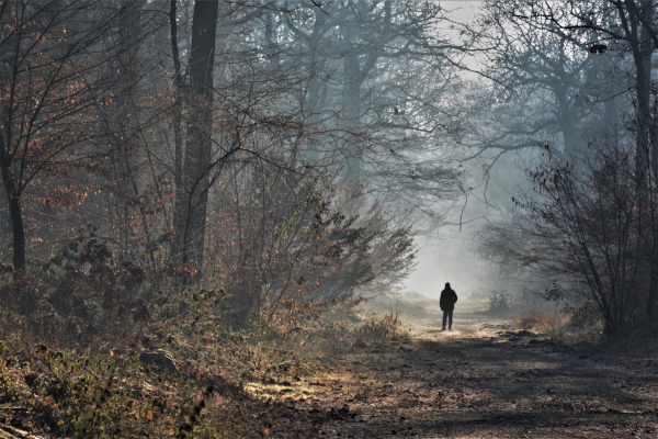 foret